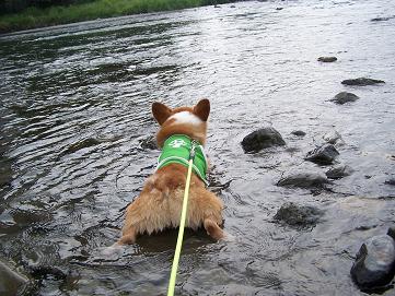 c0126703_142442.jpg