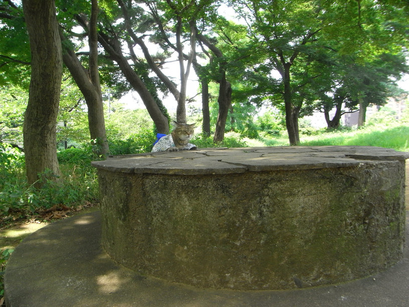 e0031605_1612241.jpg