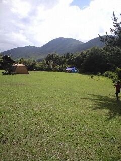 f0163707_8541934.jpg
