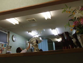 e0012610_1347521.jpg