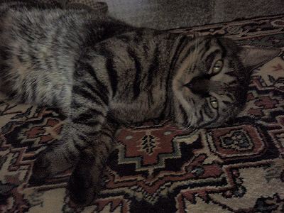 c0145016_1201029.jpg