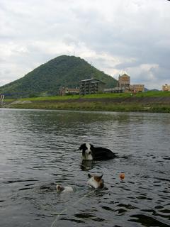 a0089120_23385597.jpg
