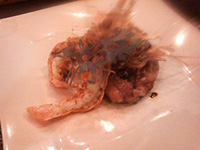 b0019820_20144154.jpg