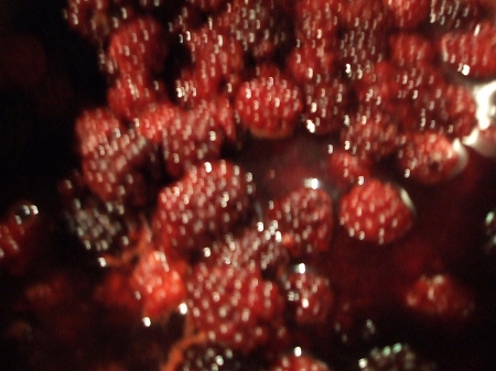 e0006321_1753992.jpg
