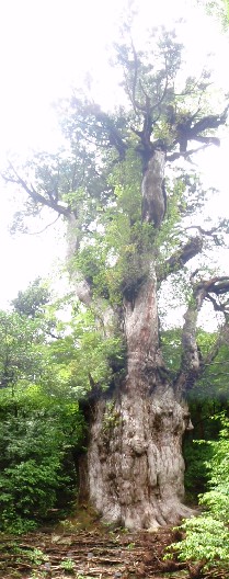 f0022024_21171729.jpg