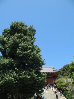 a0043326_2304984.jpg