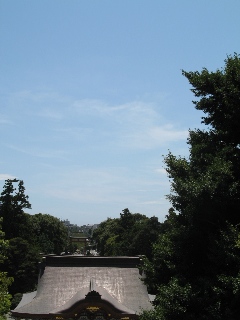 a0043326_2312014.jpg