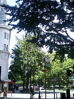 a0043326_2353182.jpg