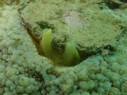 c0034029_0563828.jpg