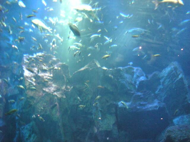 f0067630_1146073.jpg