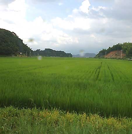 e0123731_21223857.jpg
