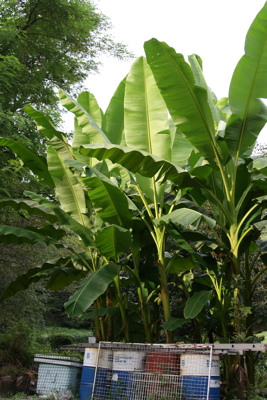 f0073833_2275136.jpg