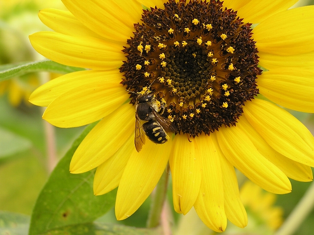 b0099538_20454553.jpg
