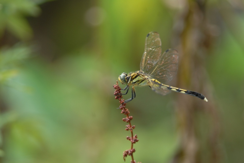 c0172139_16295941.jpg