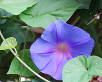 c0085543_23413265.jpg