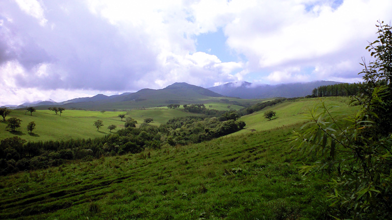 a0036254_2145021.jpg