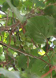 e0004756_20323847.jpg