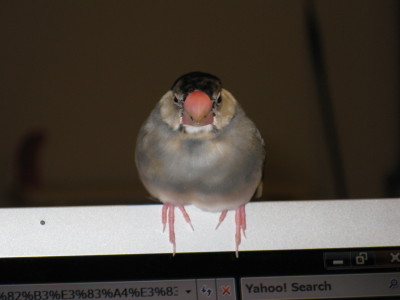 b0158061_20435136.jpg
