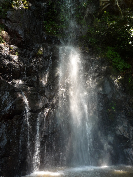 d0073261_9165261.jpg