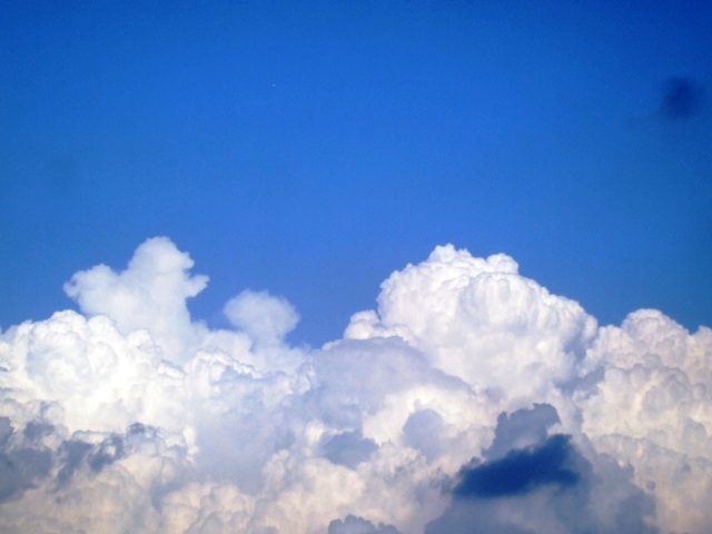 f0131165_21113523.jpg