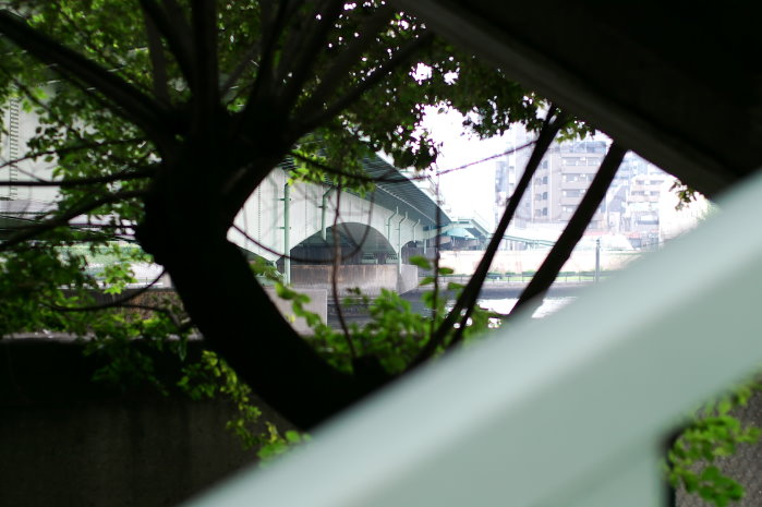 b0120979_10125421.jpg