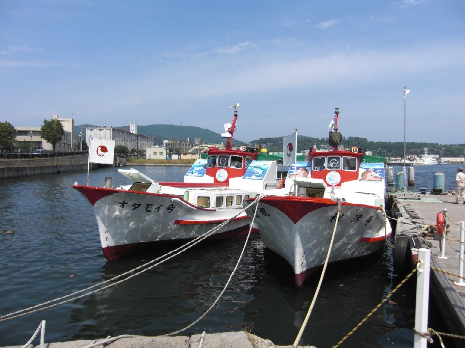 e0027681_018627.jpg