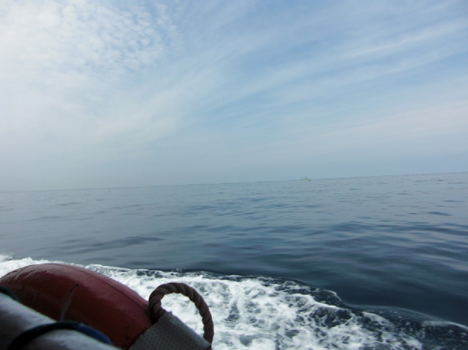 e0027681_0262666.jpg