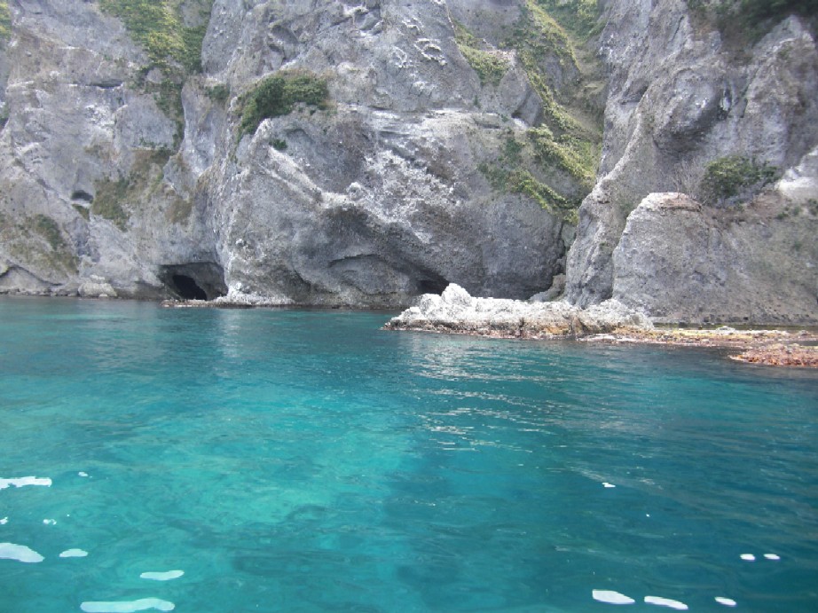 e0027681_0392761.jpg