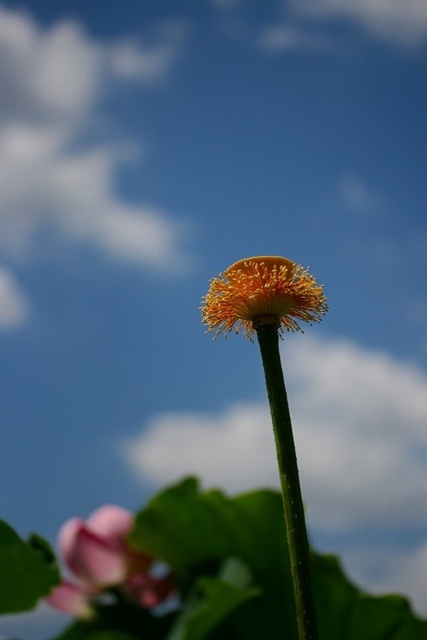 b0128787_21411410.jpg