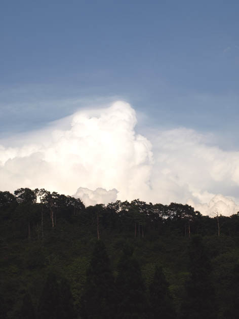 d0088788_1184690.jpg