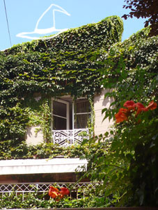 b0107891_5545195.jpg