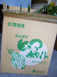 b0104592_14103488.jpg