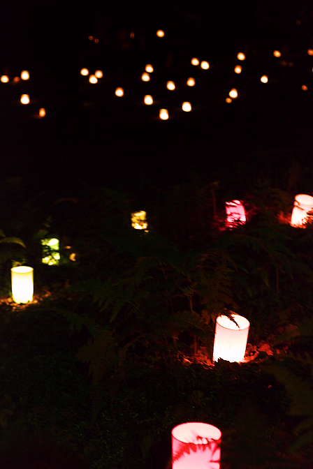d0069495_0102147.jpg