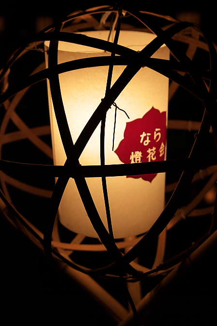 d0069495_045812.jpg