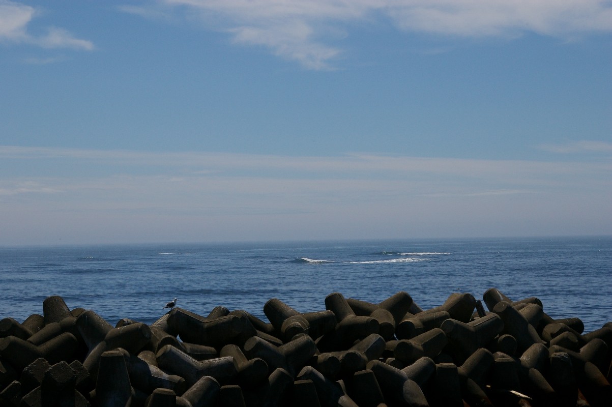 d0124100_15542270.jpg