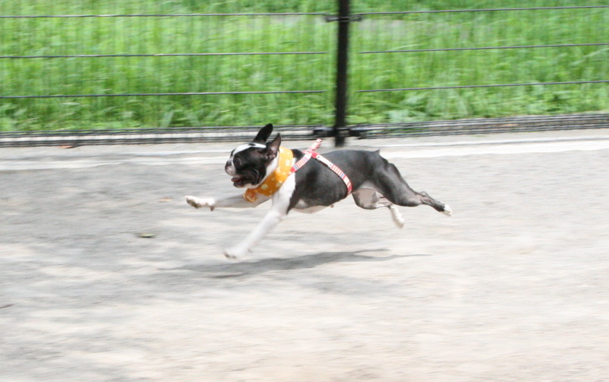d0070702_8433416.jpg