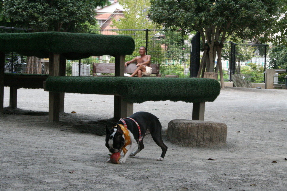 d0070702_8451685.jpg