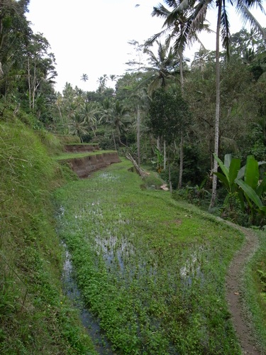 d0131006_14242332.jpg