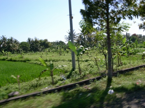 d0131006_1633315.jpg