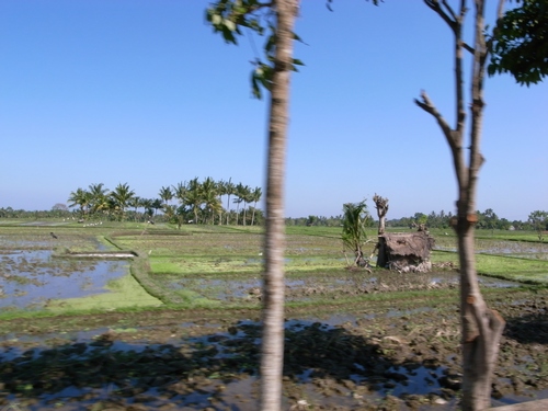 d0131006_1643598.jpg