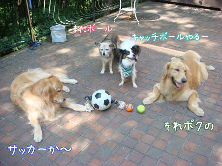 f0064906_18265016.jpg