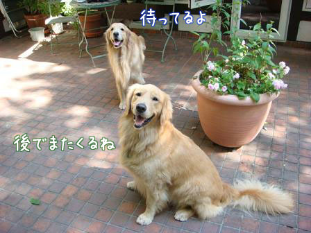 f0064906_18344579.jpg