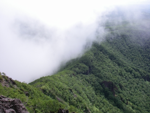 d0051707_11593056.jpg