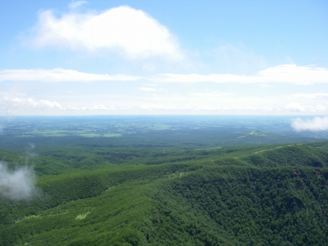 d0051707_1265911.jpg
