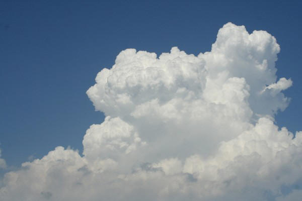 e0013207_20274621.jpg