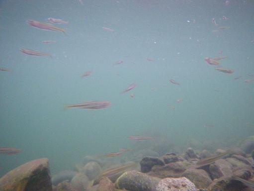 e0123808_12485721.jpg