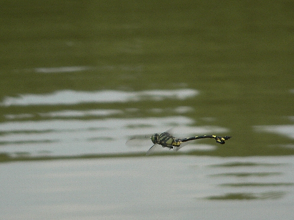 e0002314_17353022.jpg