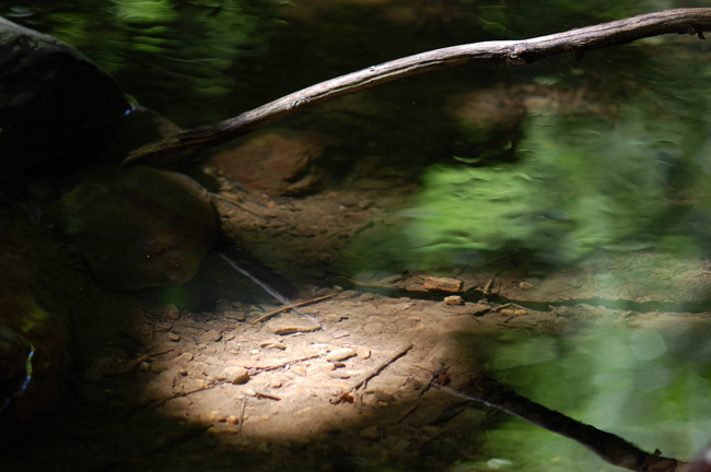 c0143722_1525899.jpg