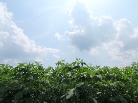 f0022024_12385974.jpg