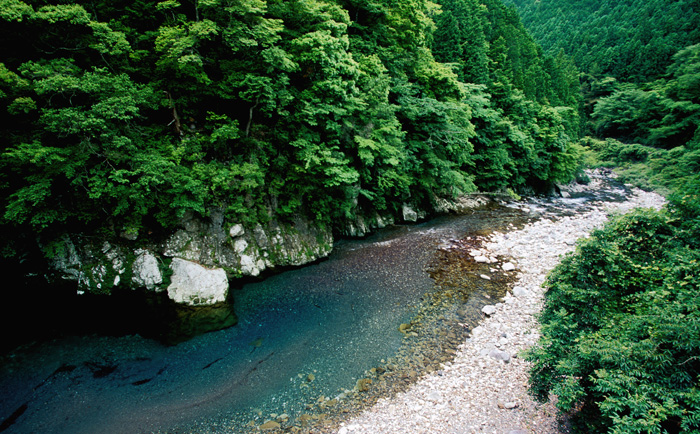 d0147530_6214987.jpg